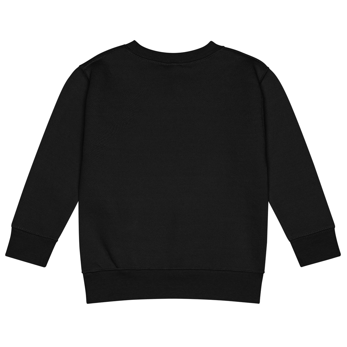 BrightBuddySkills kids crew neck sweatshirt in black, back view