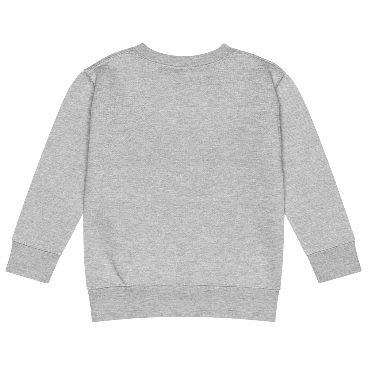 BrightBuddySkills kids crew neck sweatshirt in heather, back view