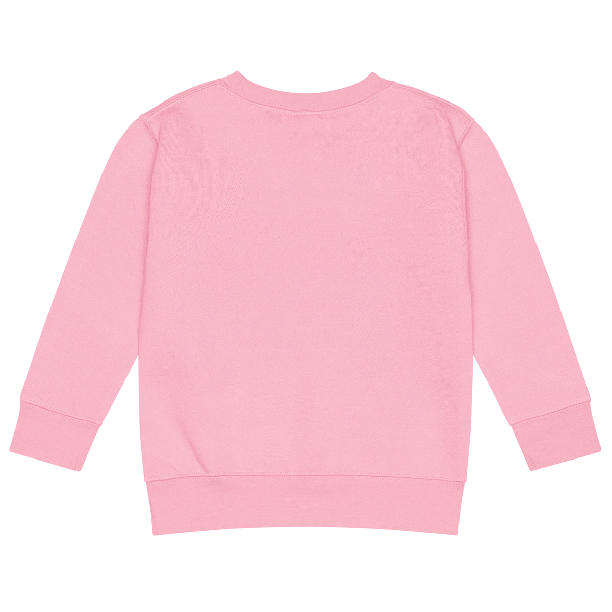 BrightBuddySkills kids crew neck sweatshirt in pink, back view