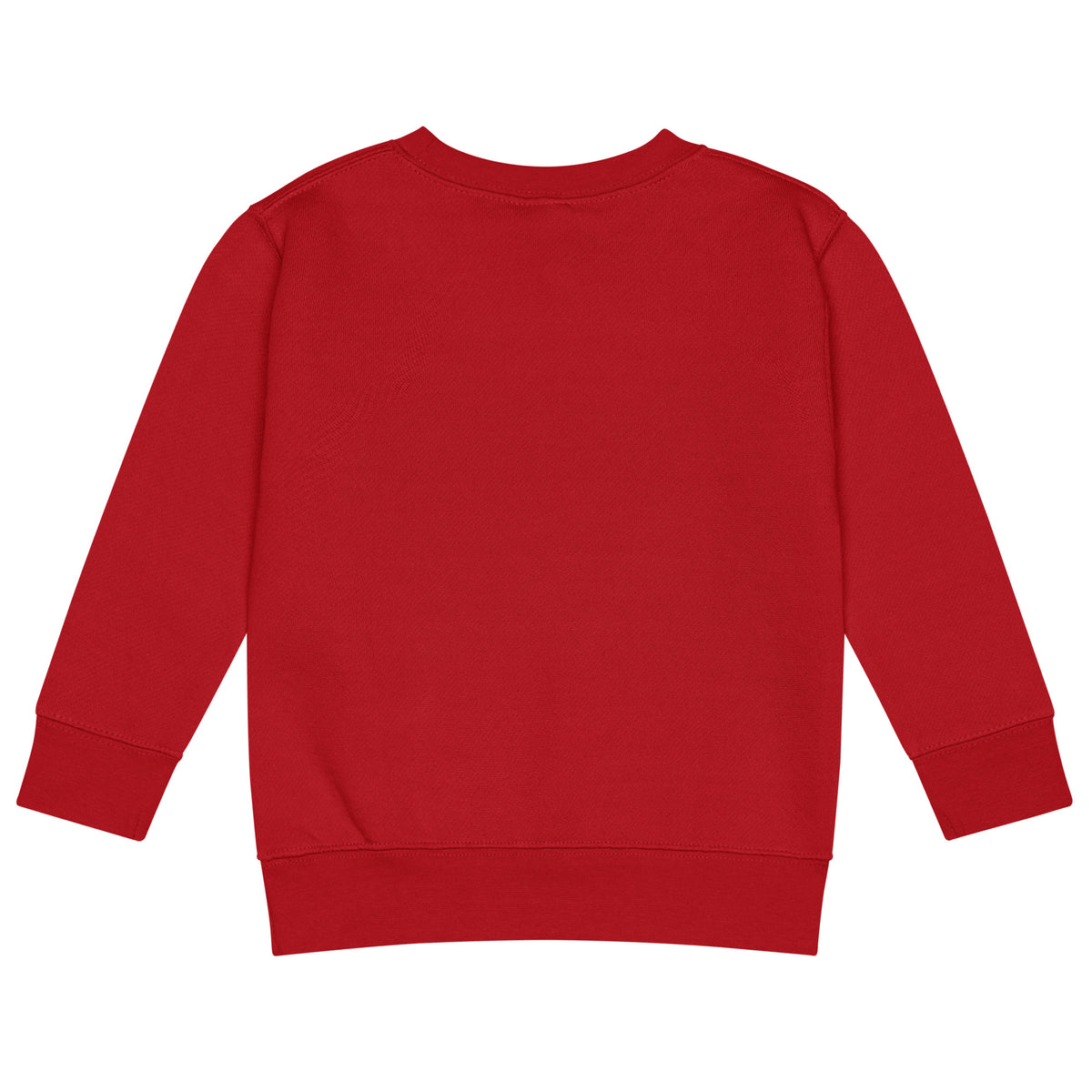 BrightBuddySkills kids crew neck sweatshirt in red, back view